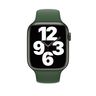 Apple Watch 45mm Clover Sport Band,Спортивный ремешок цвета «зеленый клевер» 45 мм 