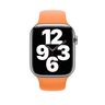 Apple Watch 45mm Marigold Sport Band,Спортивный ремешок цвета «весенняя мимоза» 45 мм 